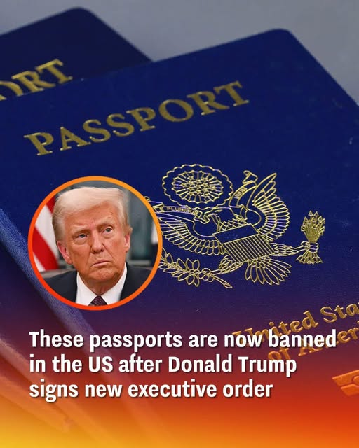 How travel in the US changes now Trump has banned these specific passports